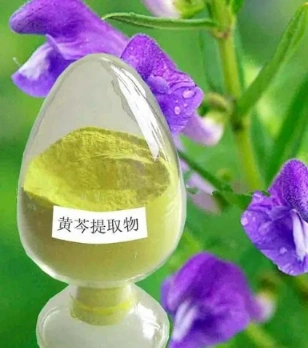 E. K Herb Plant Extract Manufacturer Hot Selling Plant Extract Scutellaria Baicalensis Georgi Foods Supplement 90% HPLC Baicalin Extract