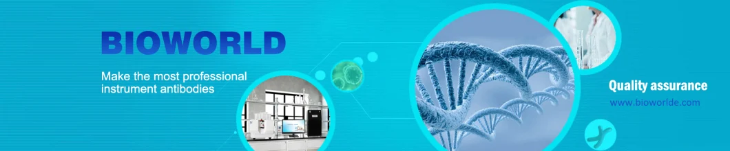 Recombinant SA Protein