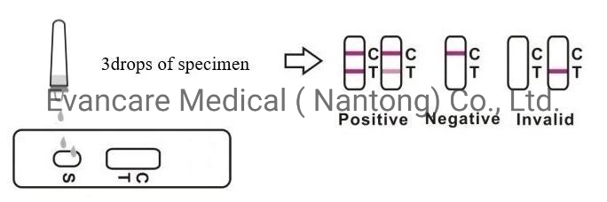 Human Leptospira Igm, Lep Igm Elisa Kit