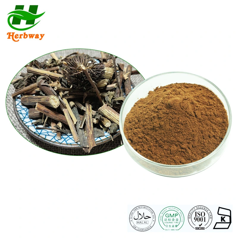 Herbway Best Price 0.8% Echinacosides Herbal Natural Supplements Echinacea Purpurea Extract