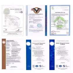 CE, ISO9001 Approuvé β -Actine (I102) Anticorps Polyclonal