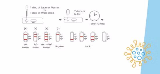 Bandelette de test d'anticorps Igg/Igm multi-spécifications à résultats rapides Singclean pour maladies infectieuses